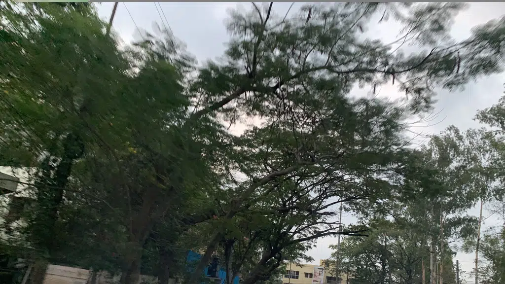 State Bank of Incometaxcolony