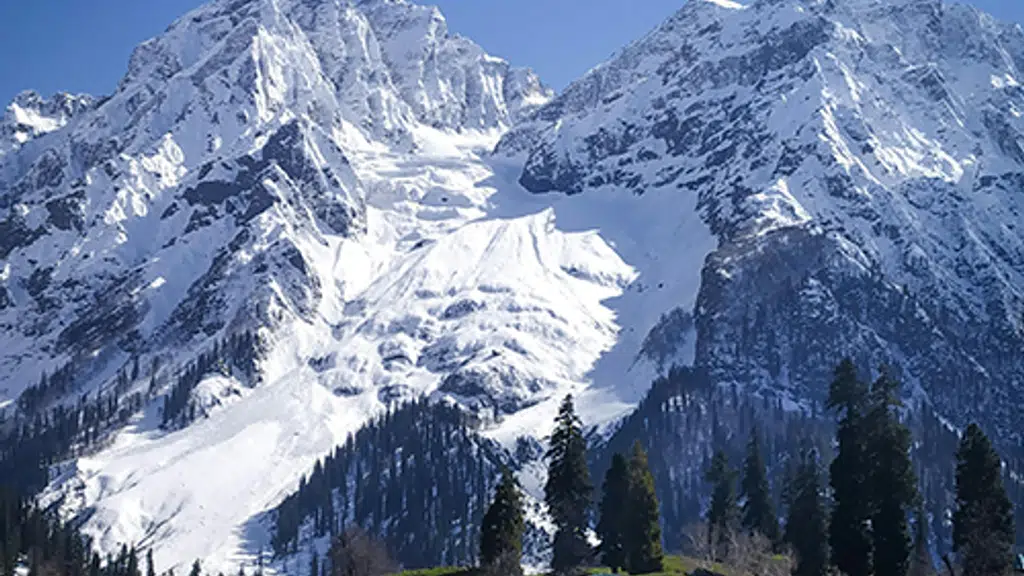 Gulmarg Water Lilly Tours Kashmir