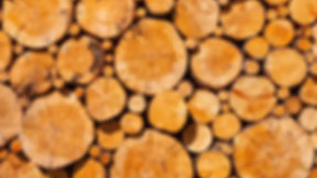 Shriwoodcraft