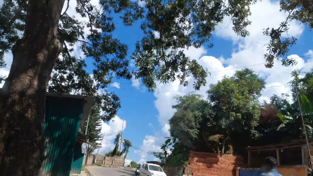 DongShong Land