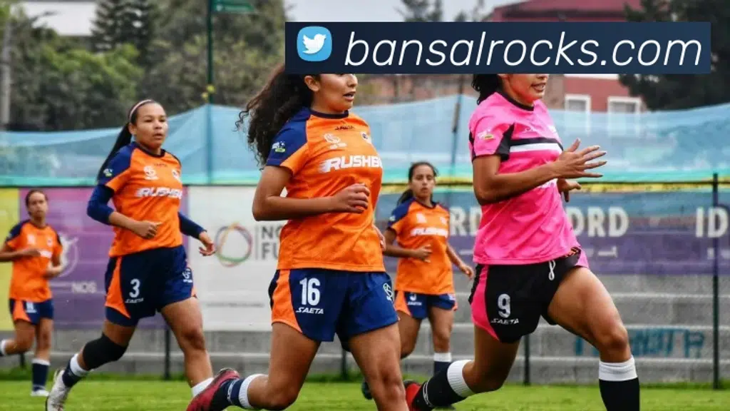 Bansal Rocks Pvt. Ltd.