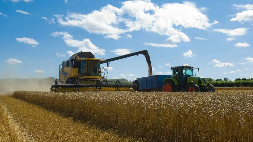 SURYA AGRO PRODUCTS-Export Division