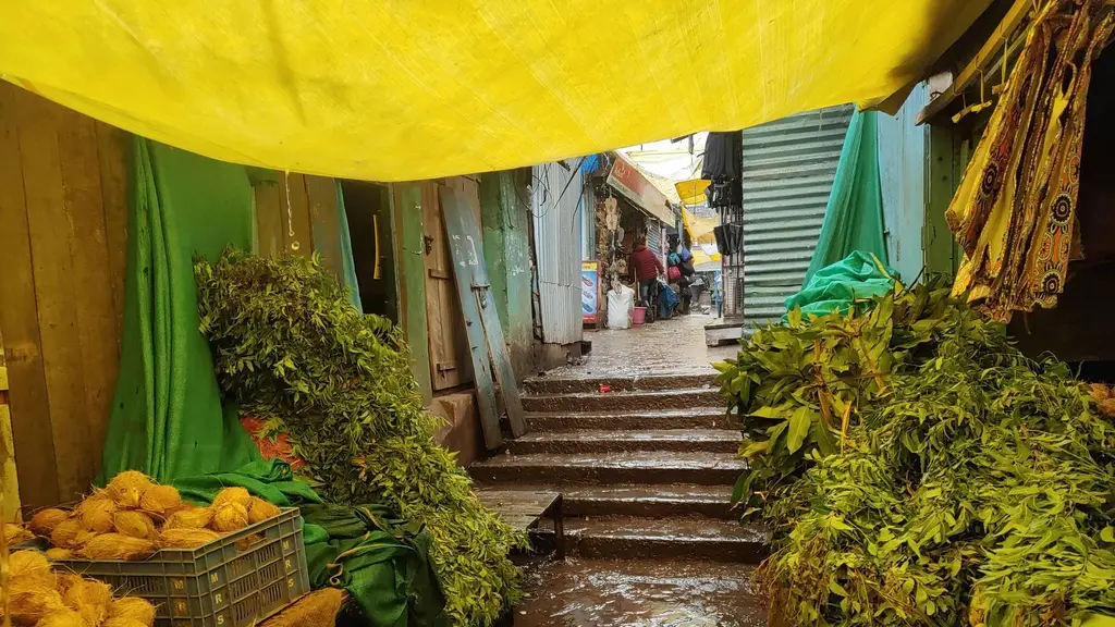JSS College of Pharmacy, Ootacamund