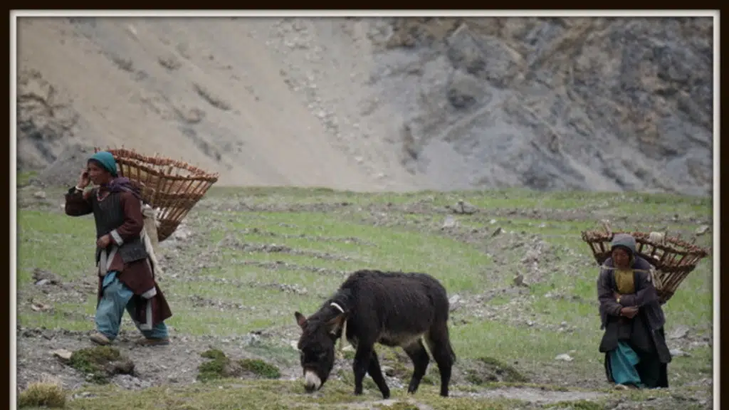 Trek amazing ladakh