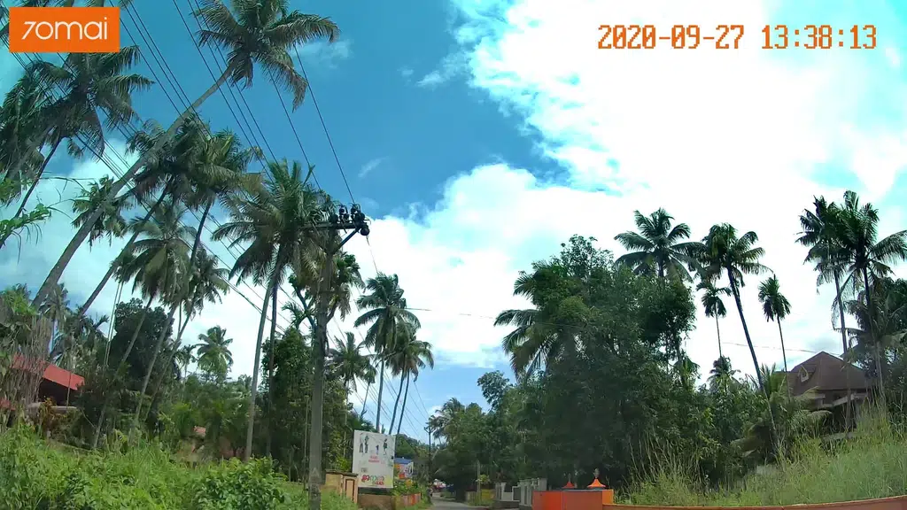 Guppy Fish Farm In Kerala