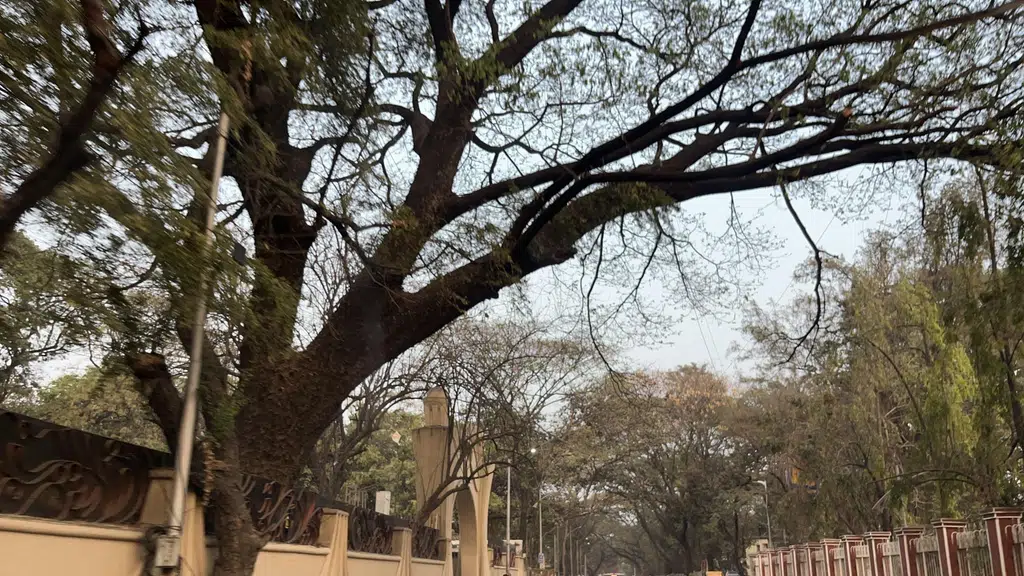 IB Guest house pune