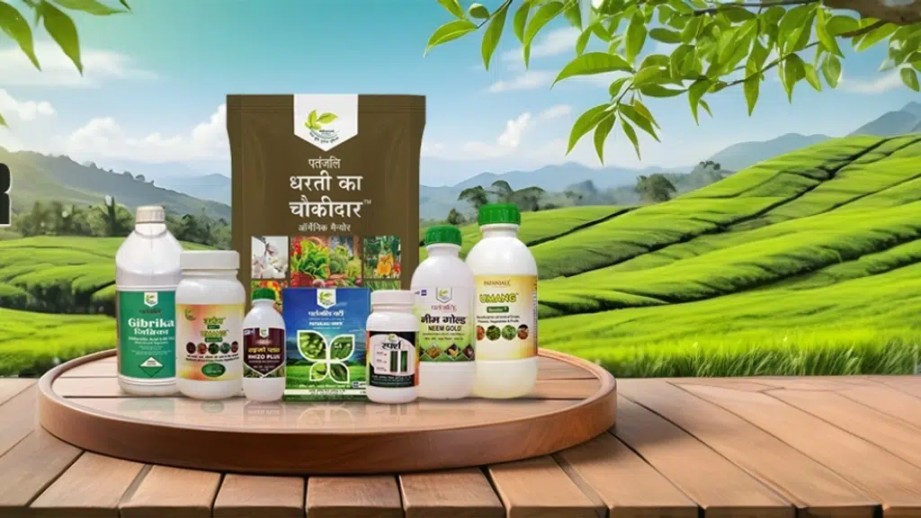 Patanjali Organic Research Institute