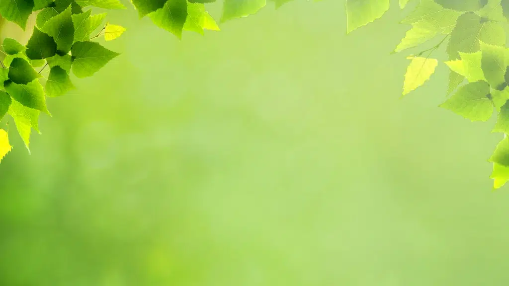 Ayurveda Rasashala