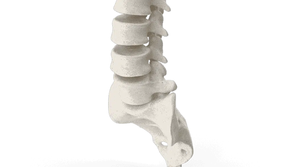 Shashikanth Pain Management and Sports Injuries Centre