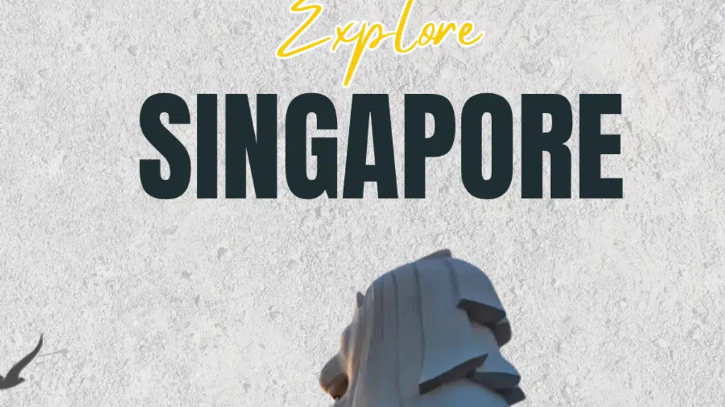 Tripocio Carnival Tour & Travel