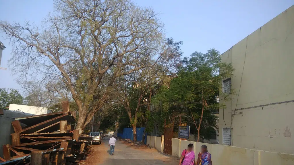Institute of Advanced Study in Education