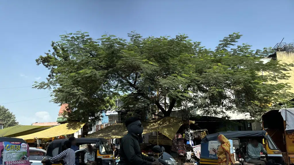 Arun Trading Company