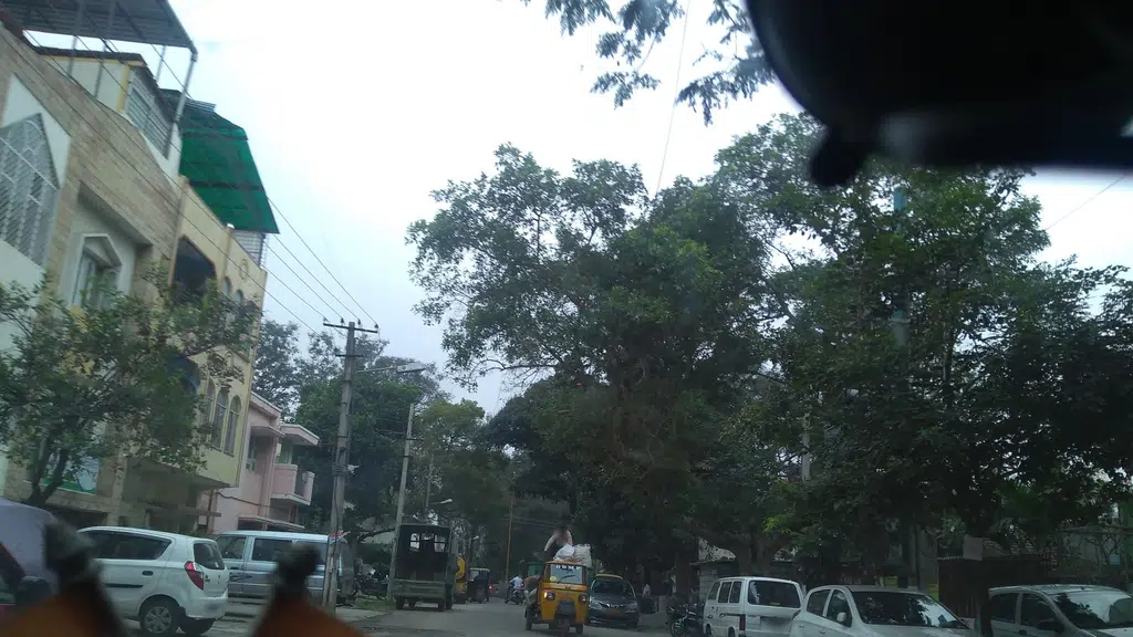 Jirawala Plylam