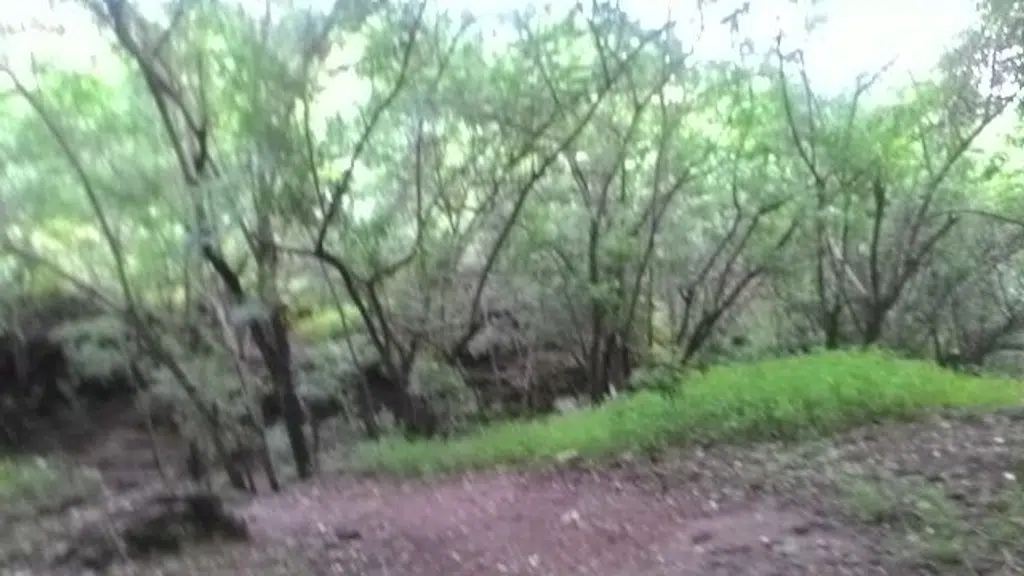 Baner-Pashan Biodiversity Park
