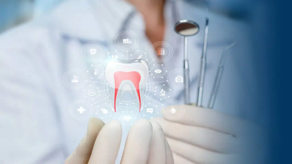 32 Bites Dental Clinic