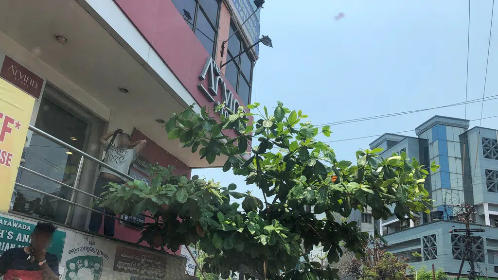 Sweet India Bakery