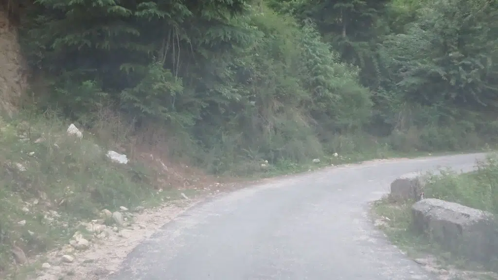 Hills&High Homestay