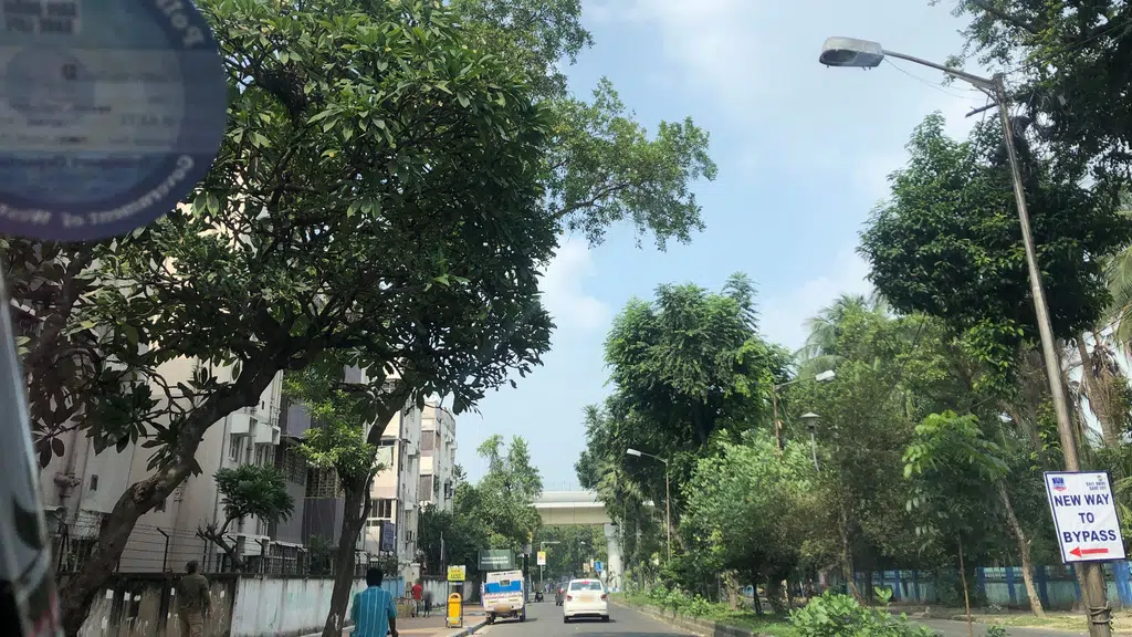 Bidhannagar College