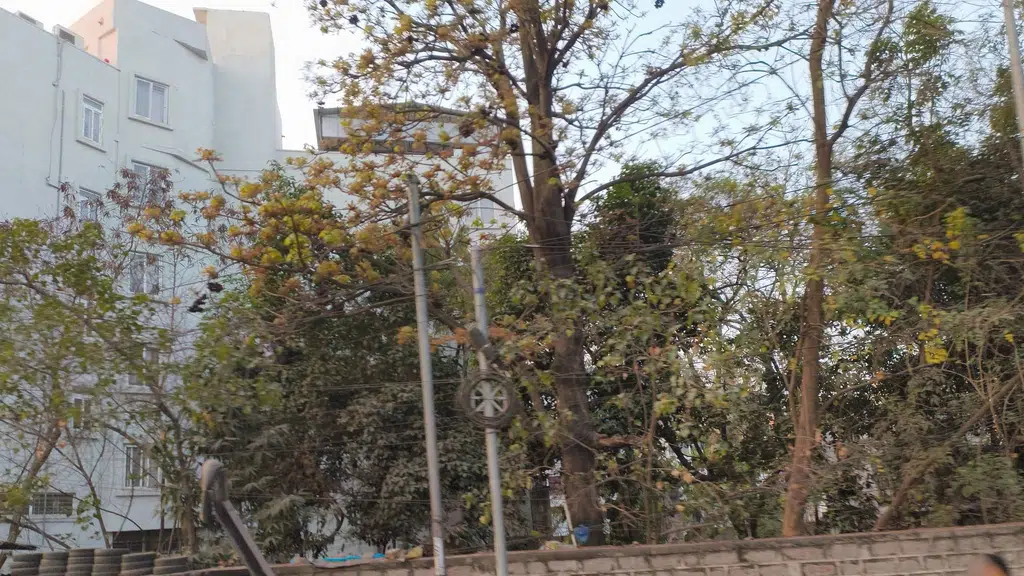 Swami Vivekananda Statue