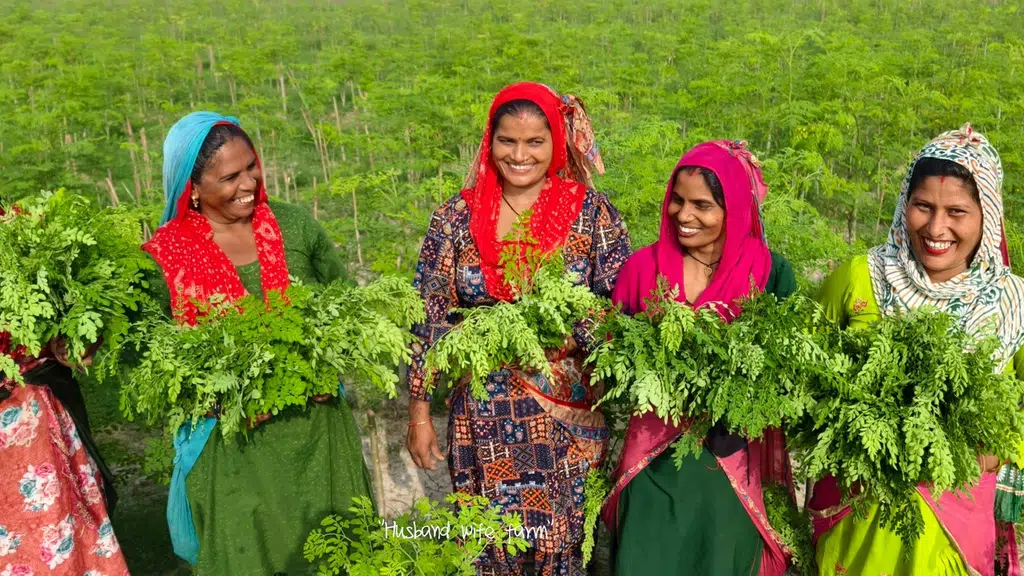 Husband wife farm