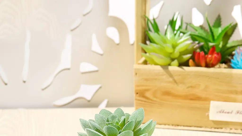 Plant Rabit