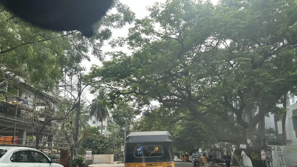 Goduvancherry nellikuppam sri balaji nagar
