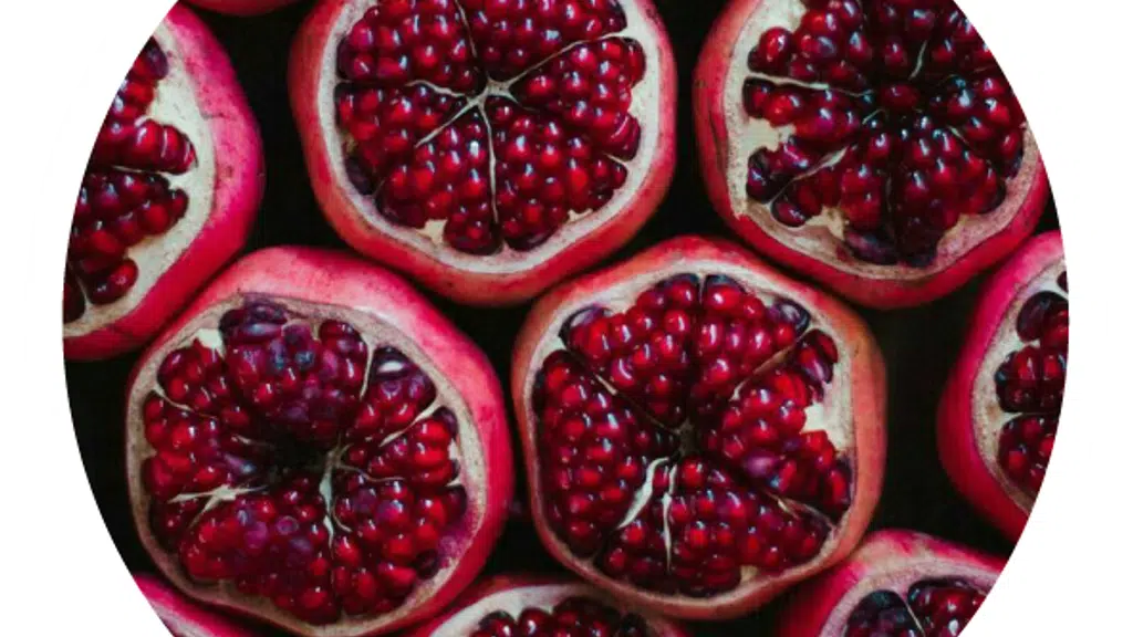 Laxmi Fruit Exports