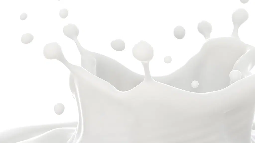 Pavak foods