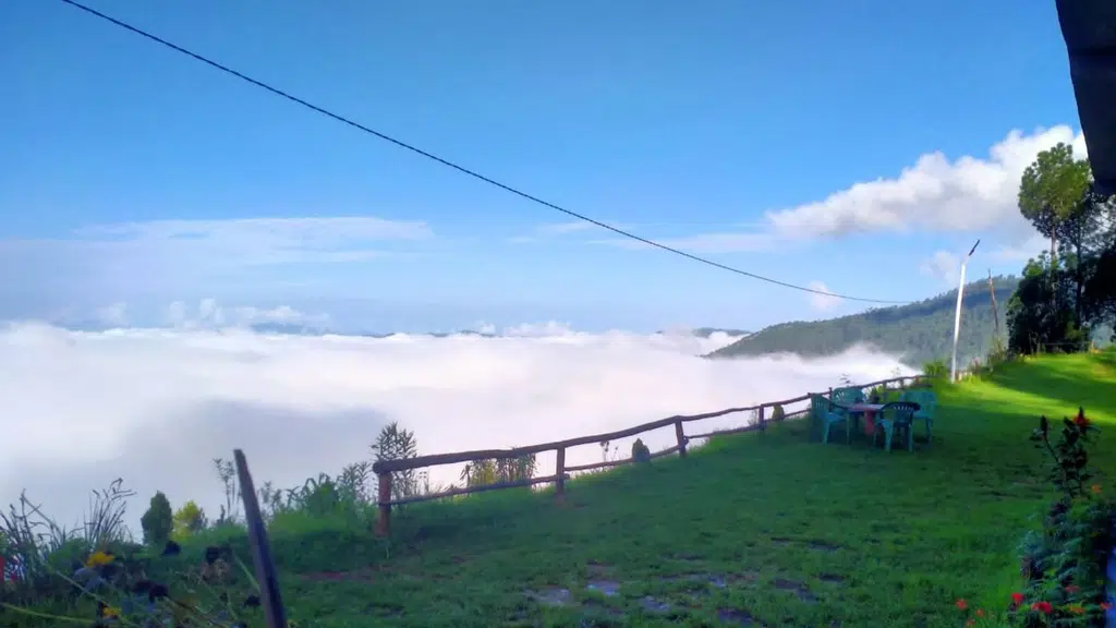 Binsar view guest House