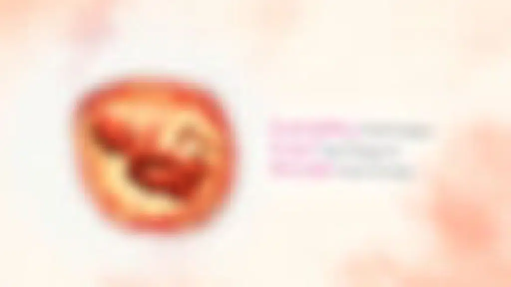 Vatsalya advanced fetal medicine & genetic center