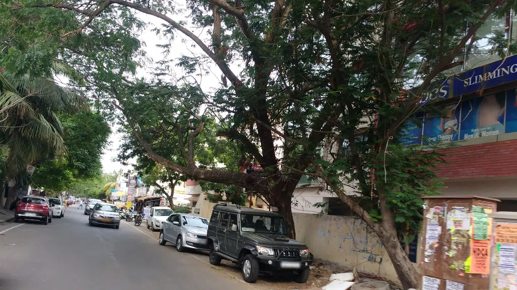 State Bank of India Exclusif Wealth Management Indira Nagar Branch
