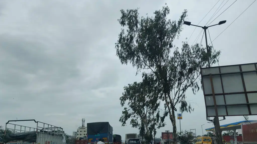 Hotel Maharashtra