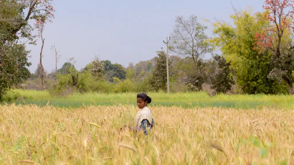 RKVY-Raftaar Agri-Business Incubator