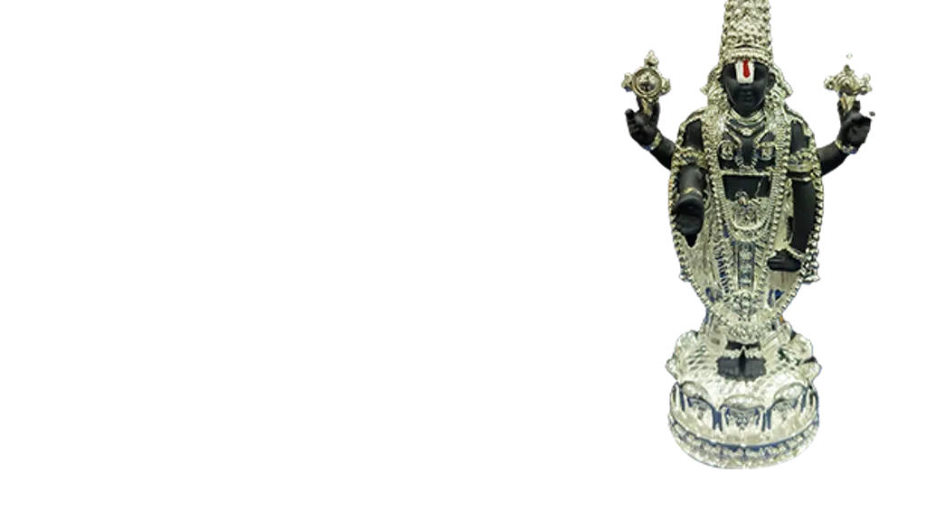 Dhana Laxmi Silver House