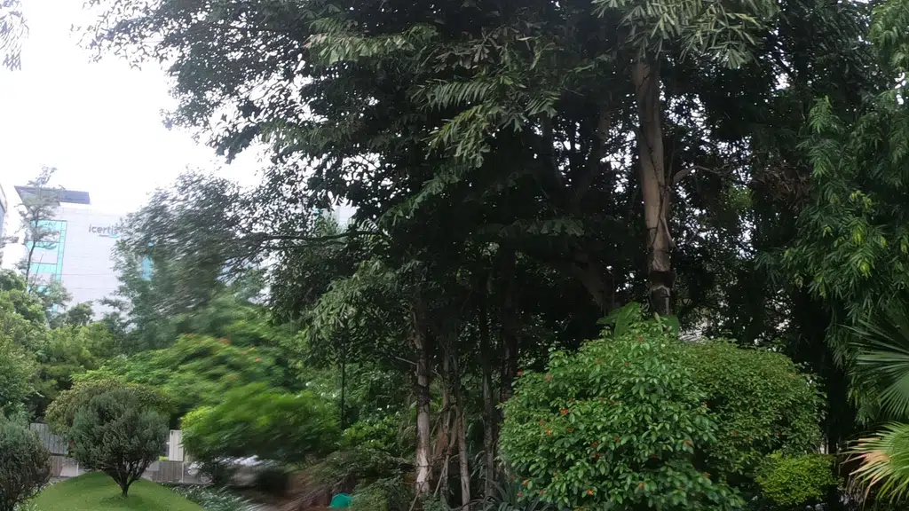 Sahyadri Mountain Range