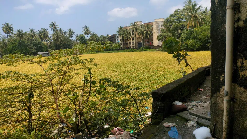 Akbar Rice Mill