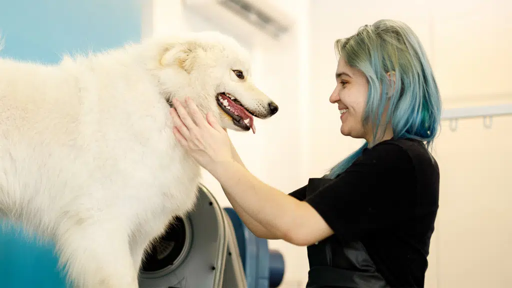 A'S PET'S Grooming SALON