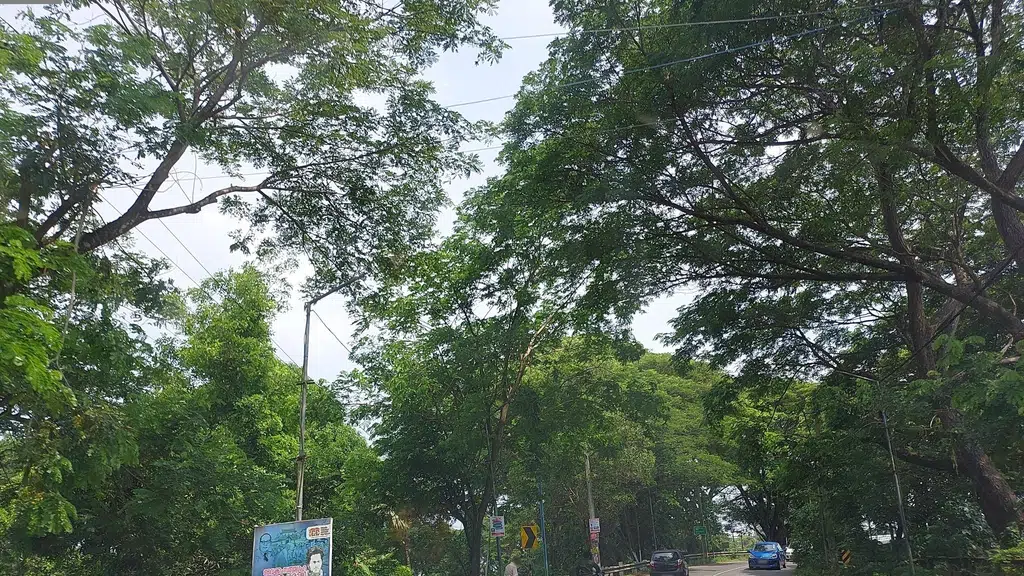 Shoma Kerala Palace Ayurveda Centre
