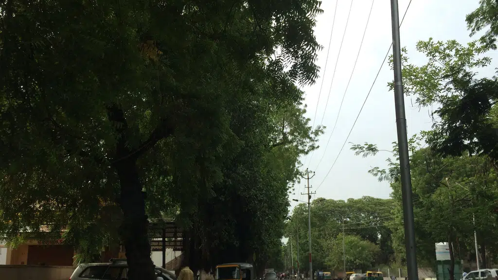 Rama Plaza