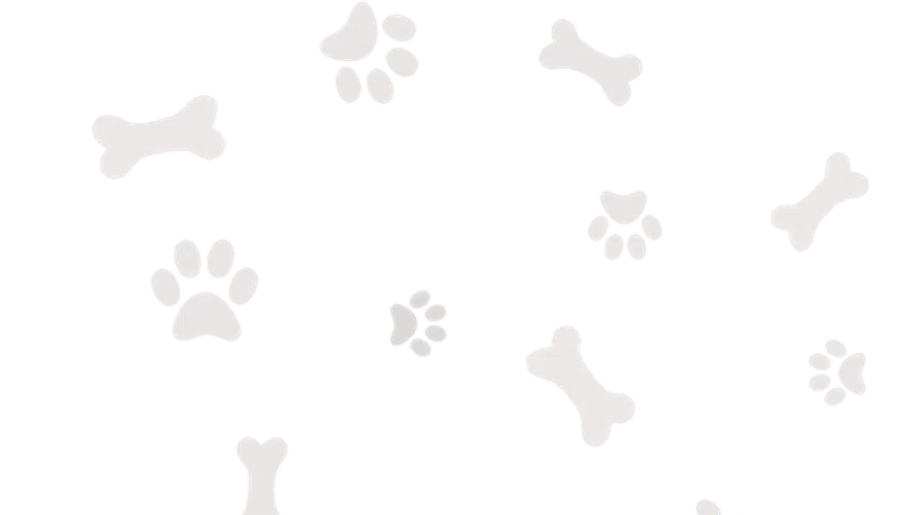 Just Groom - Best Luxury Pet Spa & Saloon