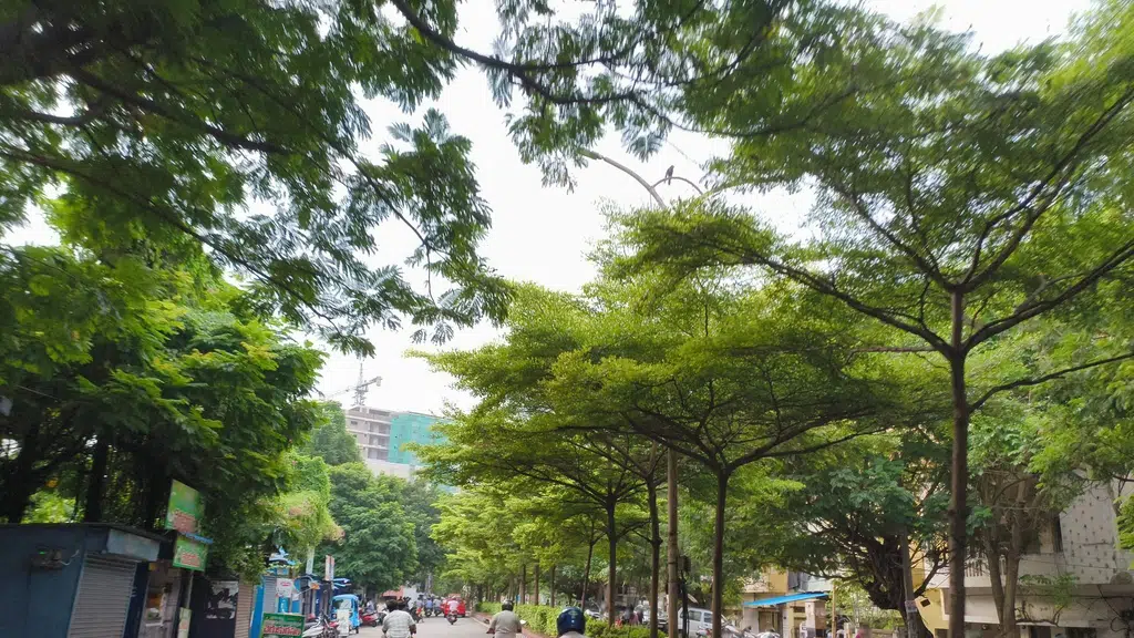 SREE Krishna Grammar School