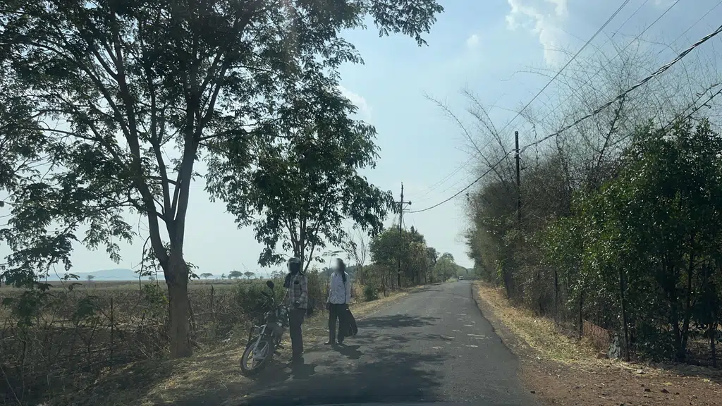 Maharana Resort