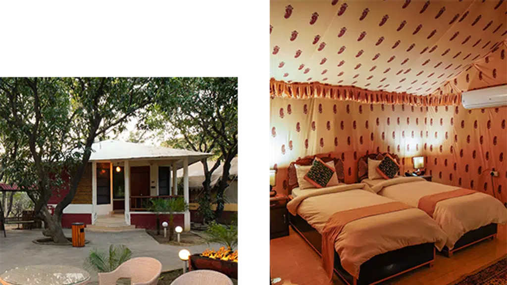 Hotel Palampur Life