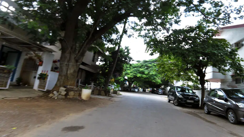 Ayush Ayurveda Health Care Centre
