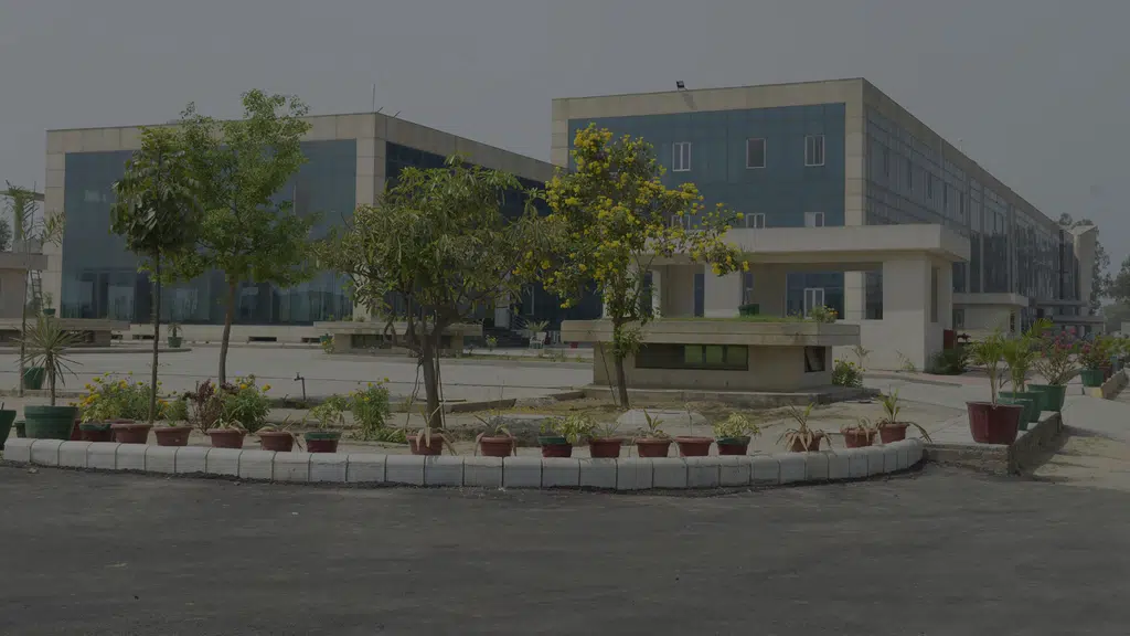 DAVU Faculty of Engineering