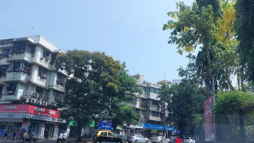 Tamilnad Mercantile Bank - Sion