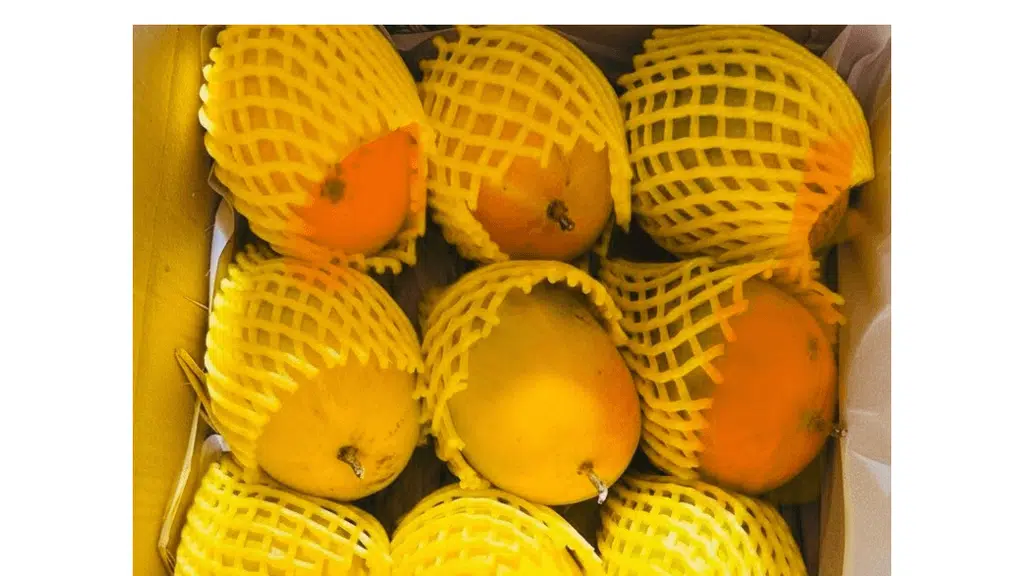 Kriparam Fruitwala | Alphonso Mangoes | Exotic Fruits | Fruit Baskets