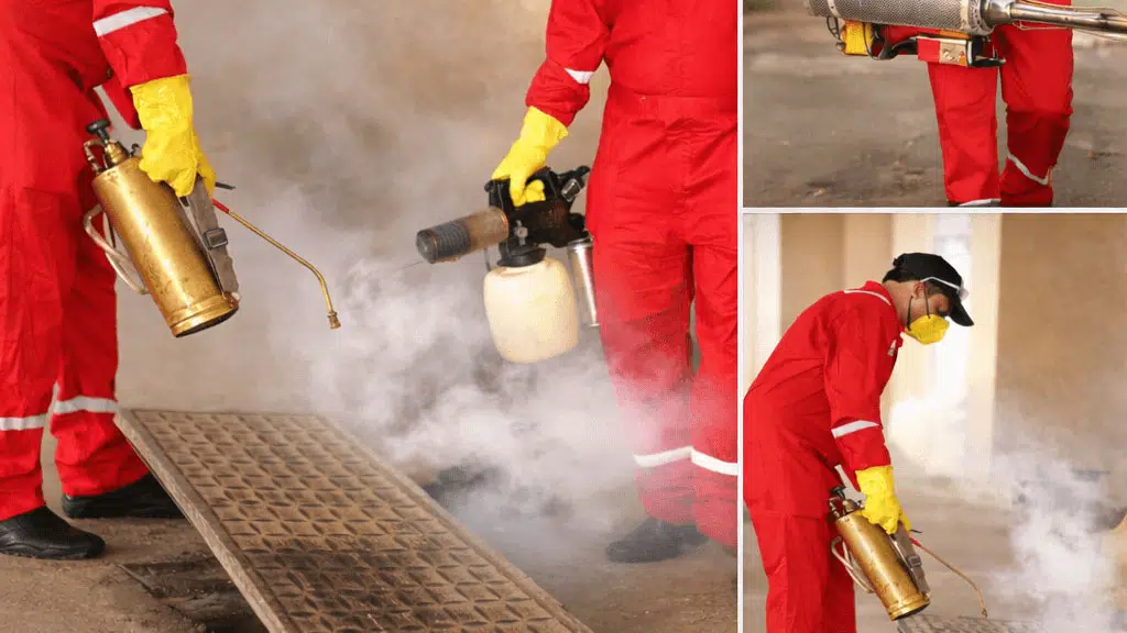 Ankita Pest Control Services