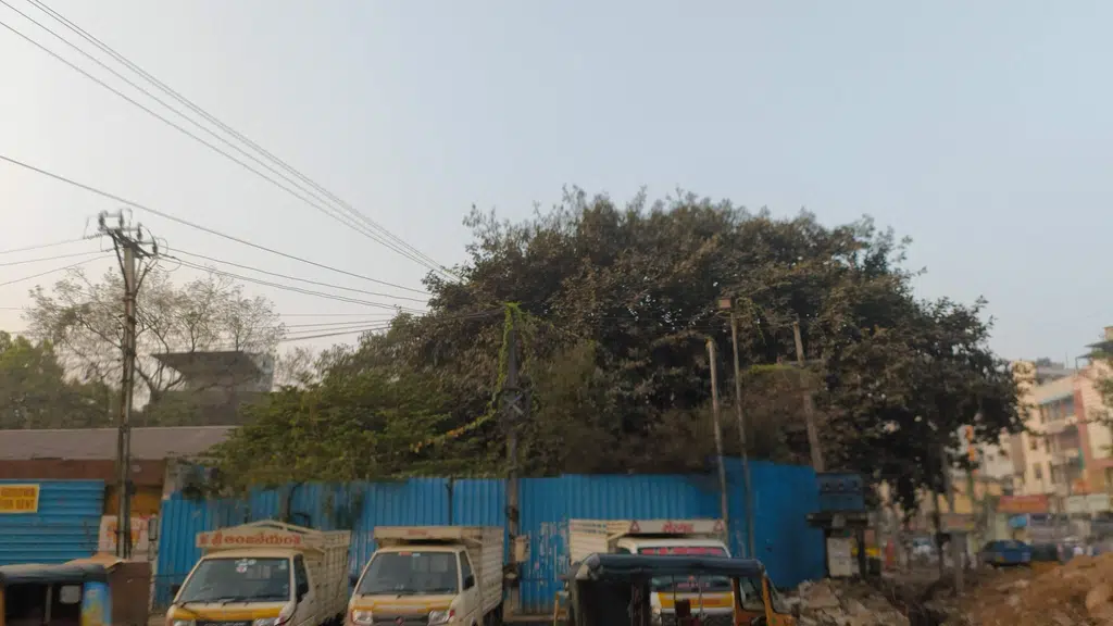 Rajeshwar Mobiles Accessories