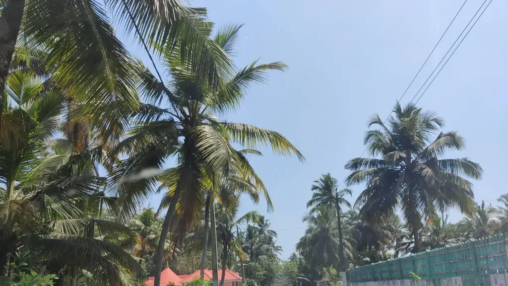 Sree Narayana Guru Mandir